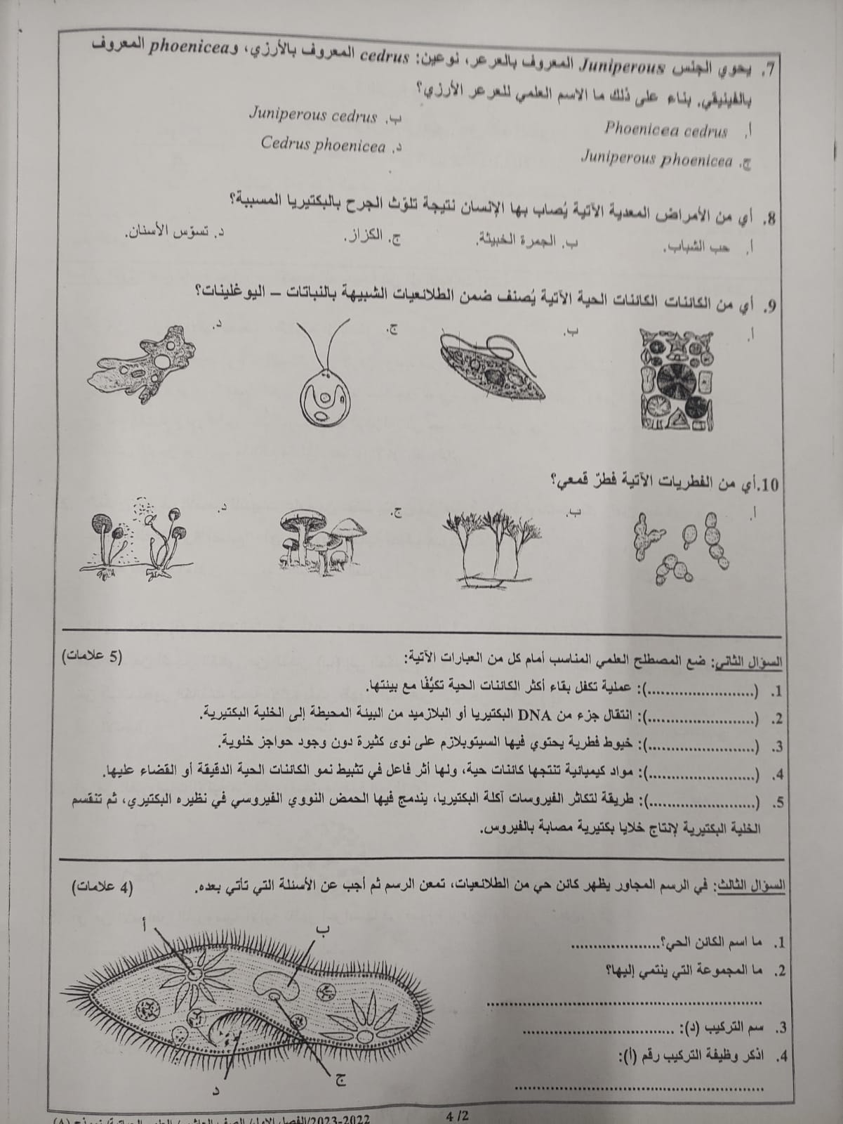 بالصور امتحان مادة العلوم الحياتية الاحياء النهائي للصف العاشر الفصل الاول 2022 نموذج A وكالة